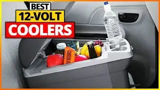Best 12-Volt Coolers Reviews 2026 [Top 6 Picks And Buying Guide]