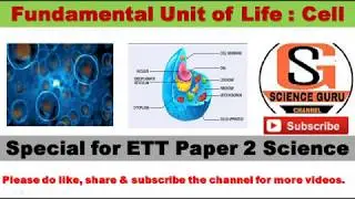 ETT PAPER 2 // SCIENCE// BIOLOGY// FUNDAMENTAL UNIT OF LIFE : CELL