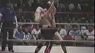 Jimmy Valiant vs. 