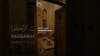 Умар Сильдинский.                                  Сура:Аль-Ахзаб 33. #quran #islam