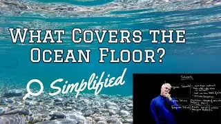 What Covers the Ocean Floor