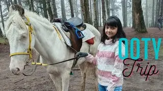 Ooty Trip | Don't miss these amazing places to visit in Ooty