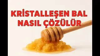 How to Fix Crystallized Honey? 🐝 The Right Way!