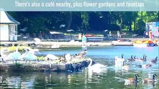 Stanley Park Lake 2021