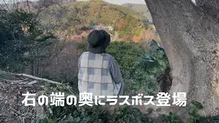 ３２１【エリア拡大　ラスボスの麓】ヤブラン　クリスマスローズ　アジュガ