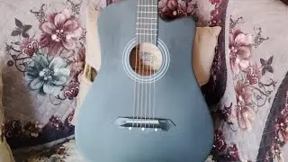 Vlog2 New guitar aagya guyz