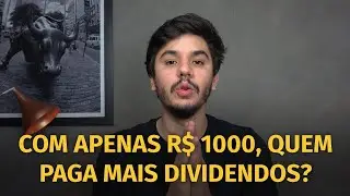 QUANTO RENDE R$ 1000 INVESTIDOS EM ITA&Uacute;SA, TRANSMISS&Atilde;O PAULISTA E BB SEGURIDADE?