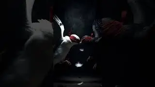 Two Birds Fight&hellip; But Look at the Heart They Make! #birds #nature #naturelovers #love #shortvideo