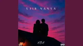 S3ib Nansa