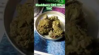 BlackBerry CBG 19% THC GlassPharms Releaf UK Medical Cannabis #medicalcannabis