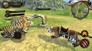 Tiger Survival Simulator - Lion Family Clan Wild Animal Simulator Game For Android & iOS