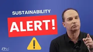 Does the voluntary carbon market accelerate or slow down decarbonisation?