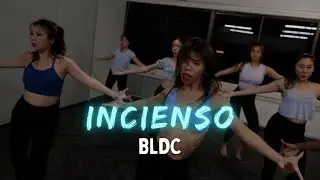 Incienso | BLDC Team | Bachata Dance Vibes