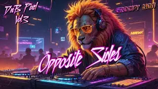 Groovy Lion &ndash; Opposite Sides | Duality in Motion &middot; Experimental DnB | D'n'B Pixel vol.3