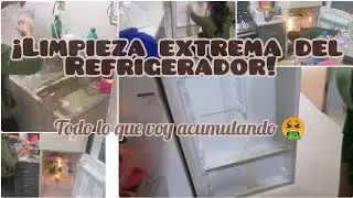 Tendr&eacute; que fumigar otra vez, &iexcl; Regreso mi mayor temor! 