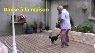 Pilé Menu Pays Vannetais  Bretagne  la danse