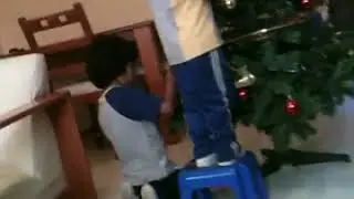 Poniendo el arbolito de navidad