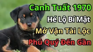 Chấn Động: Canh Tuất 1970 Trúng Mánh Lớn! Tiền Bạc Ùn Ùn Kéo Về Chật Két, Đếm Mỏi Tay.