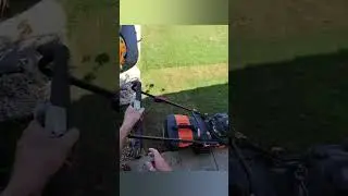 Lawn Reno 2025