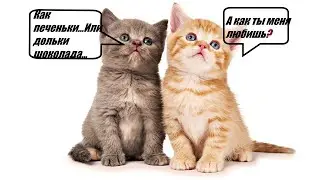 Любовь, ах любовь
