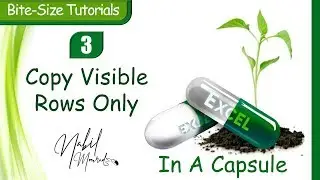 Copy Visible Cells Only - Excel In A Capsule (Episode 3)