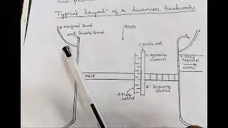 Layout of Diversion Headwork #diversion #headwork #weir #dhs2023 #ktu