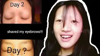 I shaved my eyebrows- this is how long it took to grow them back | also how to cover them😏