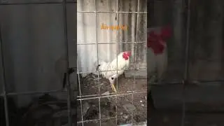 Ăn hk sợ chie sợ k ăn