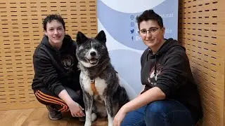 114 - FREQ&Uuml;&Egrave;NCIA CANINA - Grup 3: Terriers