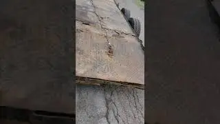 Walter 3rd backing trailer part 2
