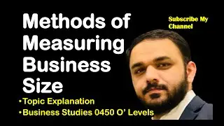 Methods of Measuring the Size of Business | Topical | IGCSE Business Studies 0450 |