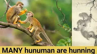 Fake tiger vs monkey  video || Heart touching moments || Monkey fight to tiger || comedian video