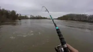 Pesca de siluro desde pato (float tube)