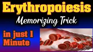 Erythropoiesis|mnemonic