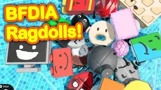 BFDIA Ragdoll Collection!