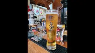 TIGER 5 0 ABV EU Heineken Blade Keg Review
