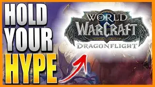 6 Major CONCERNS The Community Has With DRAGONFLIGHT