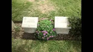 Anzac Tours