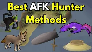 The 4 Best AFK Hunter Methods in OSRS