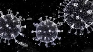 Coronavirus To Hurt Global Auto Industry