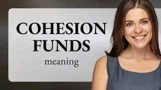 Understanding Cohesion Funds: A Guide to European Union Funding