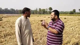 Rice Straw management.