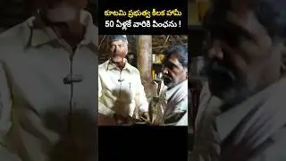 కూటమి ప్రభుత్వ కీలక హామీ. 50 ఏళ్లకే వారికి పింఛను