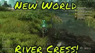 New World Where to Find Rivercress Stem!