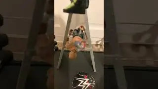 I have a question #wwe #aew #wwemattel