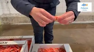 S&aring; h&auml;r skalar du en r&auml;ka
