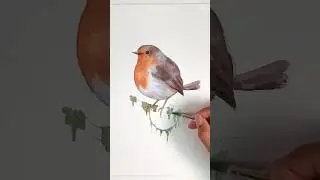 How I paint a Robin  #sketchbook #drawing #watercolor