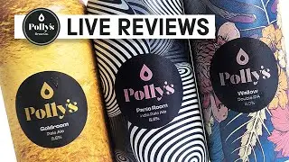 Pollys Brew Co - 3 Live reviews