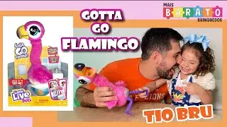 Gotta go Flamingo que faz caquinha.