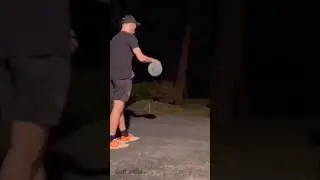 This Parrot Did Something Nobody Expected 😱